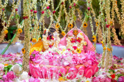 Daily Darshan