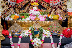 Daily Darshan