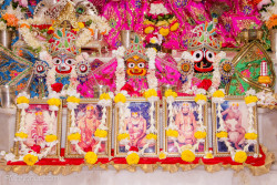Daily Darshan