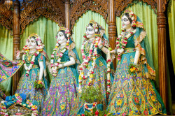 Daily Darshan