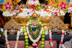 Daily Darshan