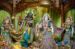 Daily Darshan
