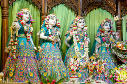 Daily Darshan