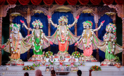 Daily Darshan