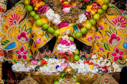 Daily Darshan