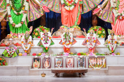 Daily Darshan