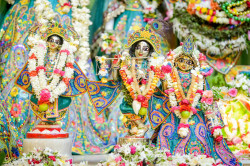 Daily Darshan