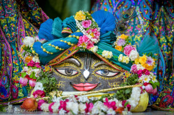 Daily Darshan