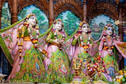 Daily Darshan