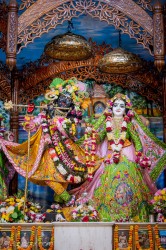 Daily Darshan