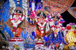 Daily Darshan