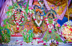 Daily Darshan