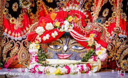 Daily Darshan