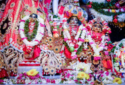 Daily Darshan