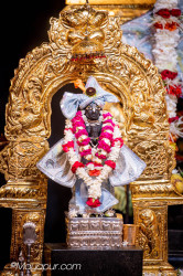 Daily Darshan