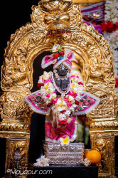 Daily Darshan