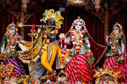 Daily Darshan