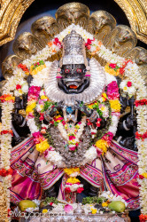 Daily Darshan