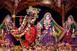 Daily Darshan