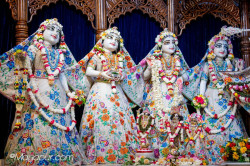 Daily Darshan