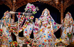 Daily Darshan