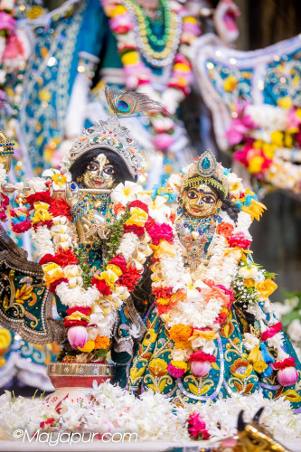 Daily Darshan