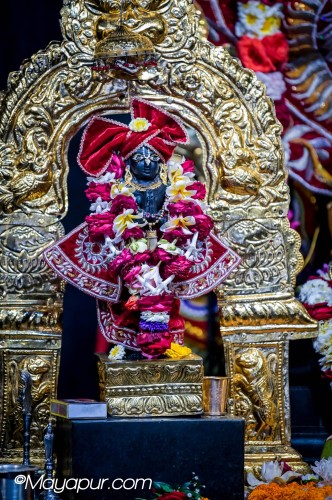 Daily Darshan