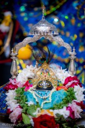 Daily Darshan