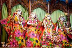 Daily Darshan