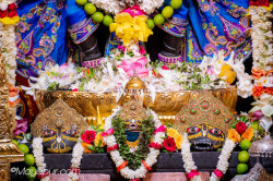 Daily Darshan