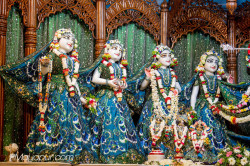 Daily Darshan