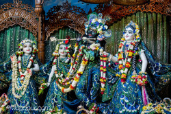 Daily Darshan