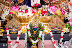 Daily Darshan