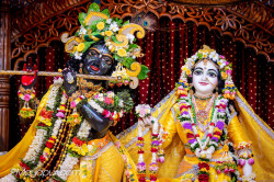 Daily Darshan