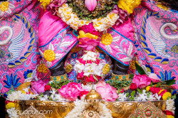 Daily Darshan