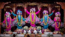 Daily Darshan