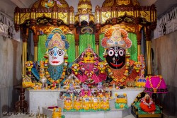 Daily Darshan