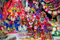 Daily Darshan