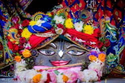 Daily Darshan