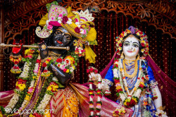 Daily Darshan