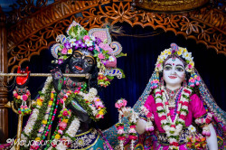 Daily Darshan