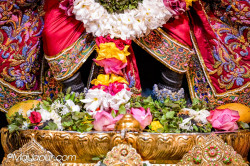 Daily Darshan
