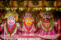 Daily Darshan