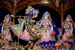 Daily Darshan