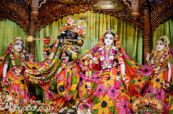 Daily Darshan