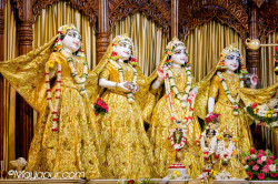 Daily Darshan