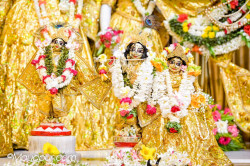 Daily Darshan