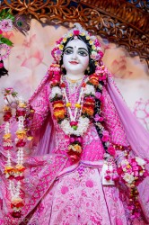 Daily Darshan