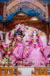 Daily Darshan