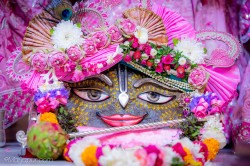 Daily Darshan
